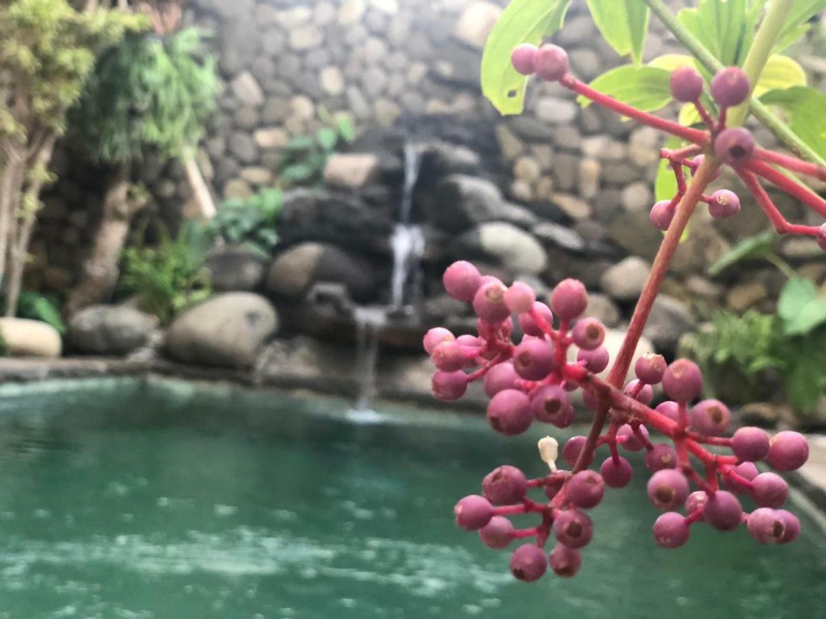 坎古 Melati Bali 2酒店 外观 照片
